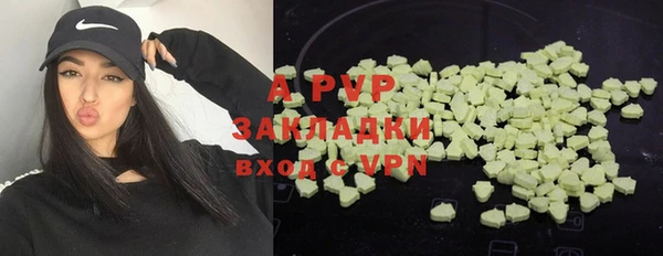 apvp Арсеньев