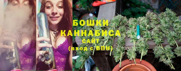 apvp Арсеньев