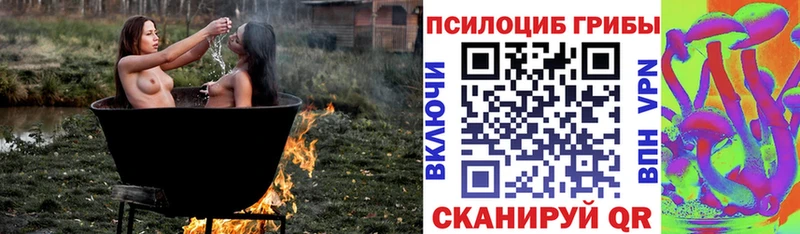 Галлюциногенные грибы мухоморы  Полевской 