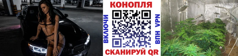 Бошки марихуана тримм  Полевской 